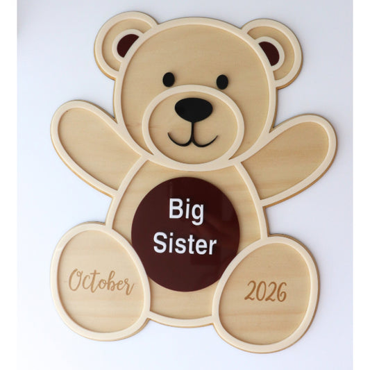 Pregnancy Announcement Teddy